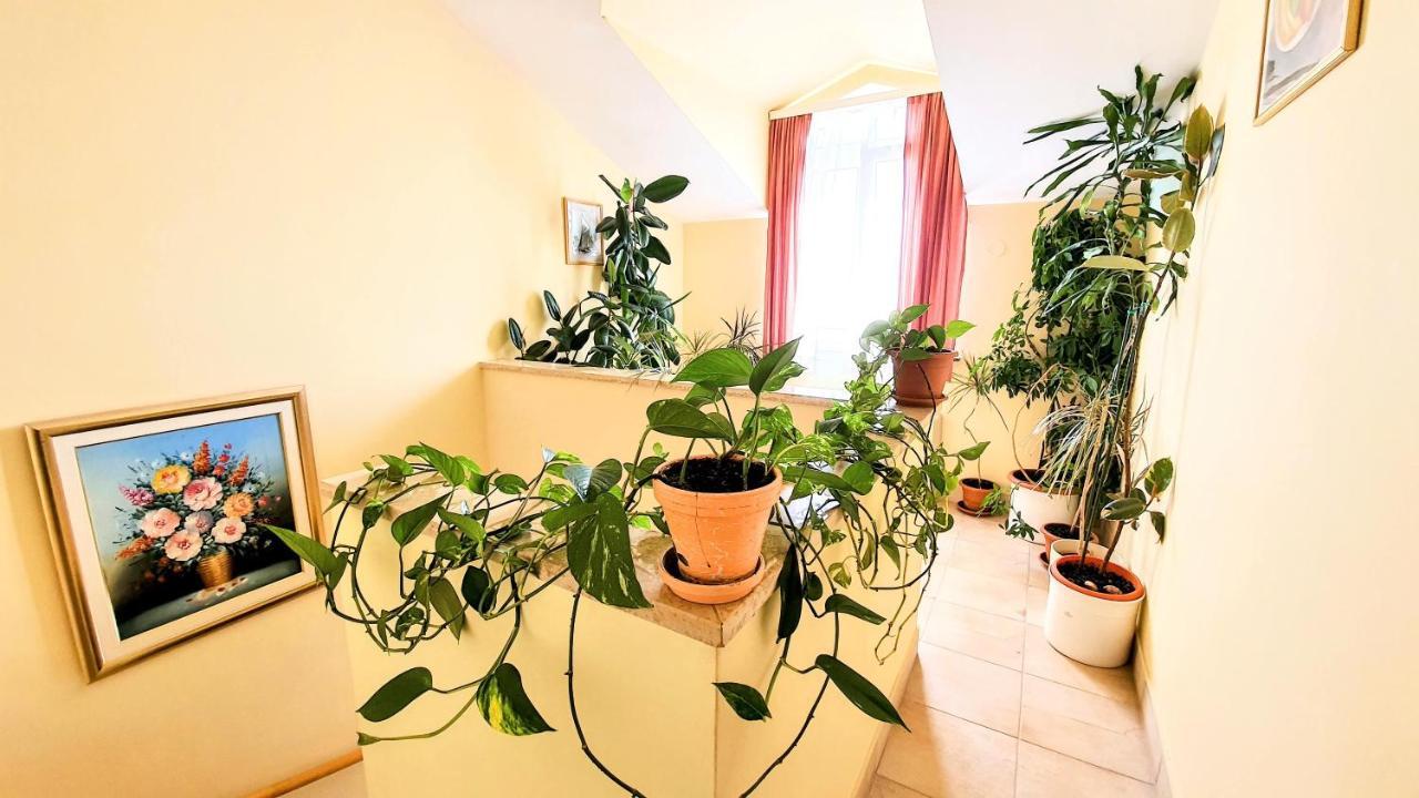 Villa Palcic Novalja Bagian luar foto
